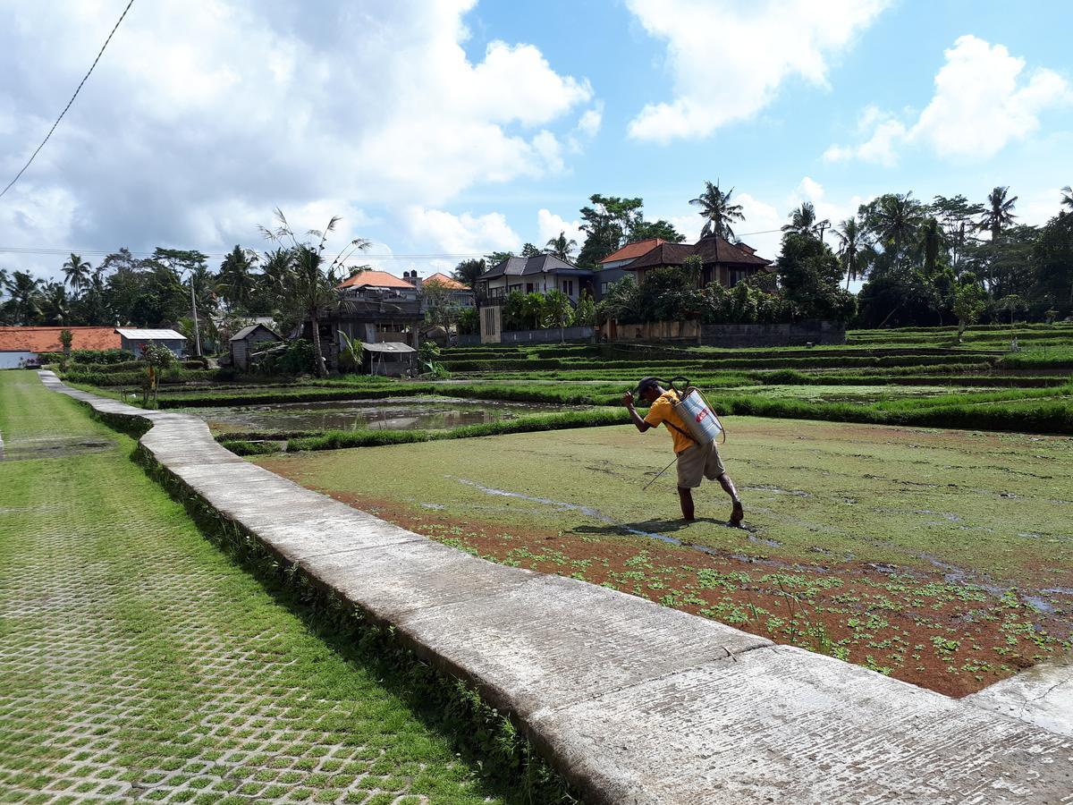 Villa Kirani Ubud By Mahaputra-Chse Certified Εξωτερικό φωτογραφία